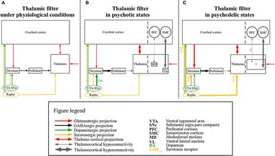 Bridging the Gap? Altered Thalamocortical Connectivity in Psychotic and Psychedelic States